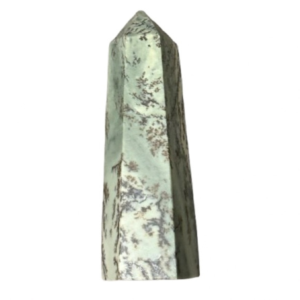 Picture Jasper